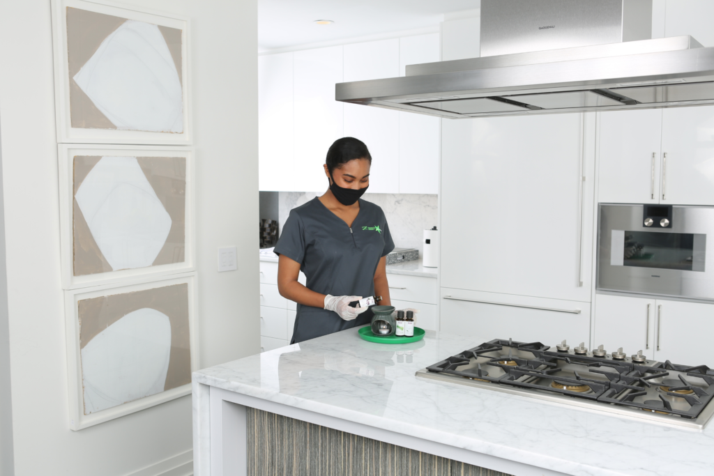 Green Cleaning: A Sustainable Approach to Luxury House Cleaning