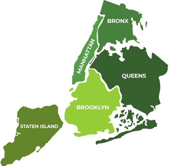 Eco-friendly house cleaners in New York City