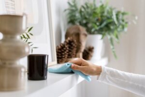 whos the best house cleaning company in brooklyn